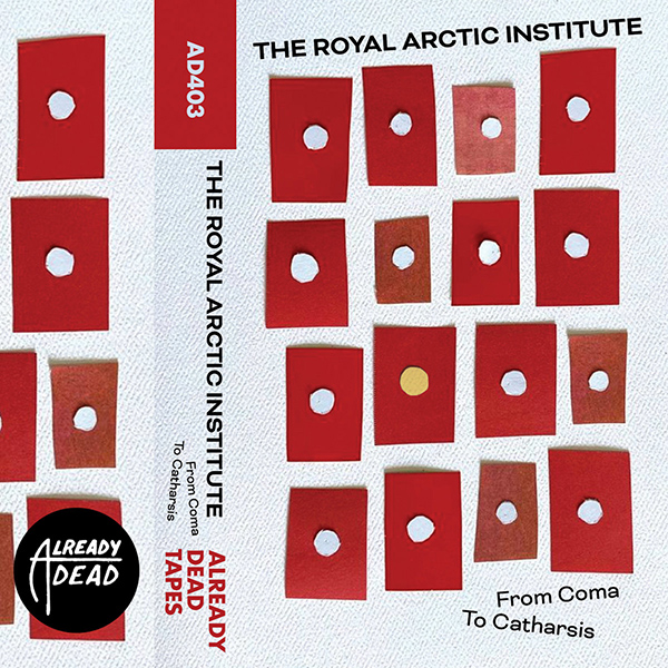 The Royal Arctic Institute - From Coma to Catharsis